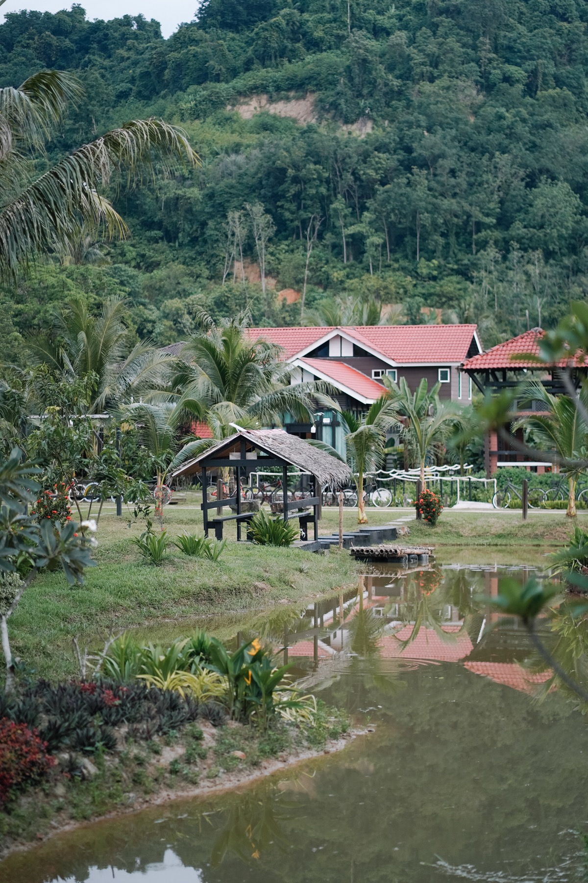 Villa Sawah view across the pond, villas and Gunung Raya