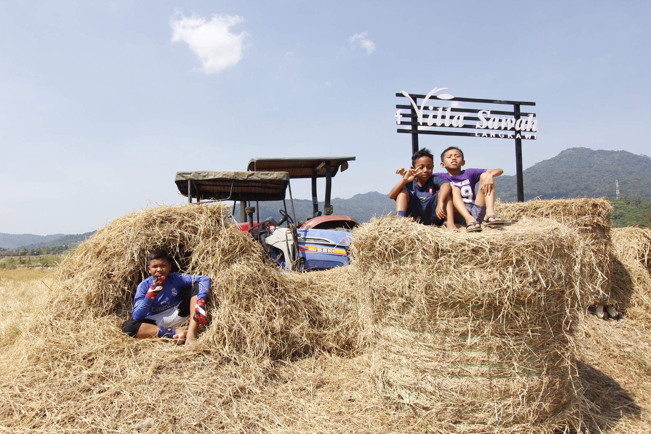 Kampung harvest and hay bales at Villa Sawah